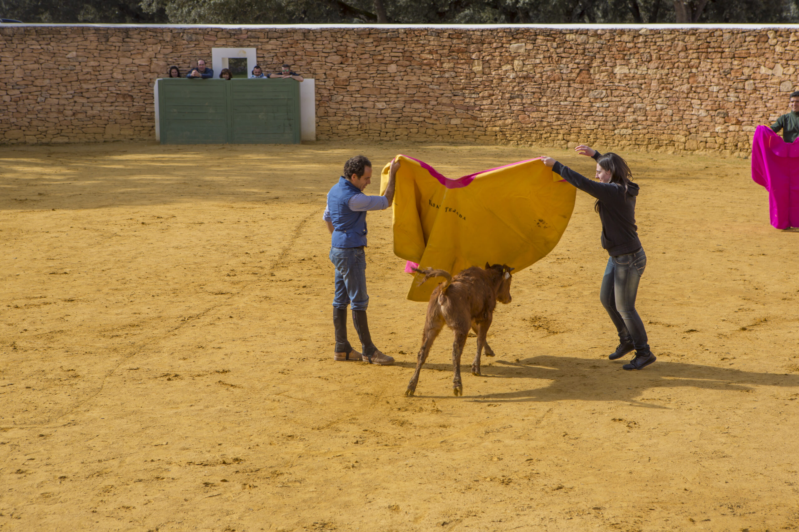 incentivos y team building